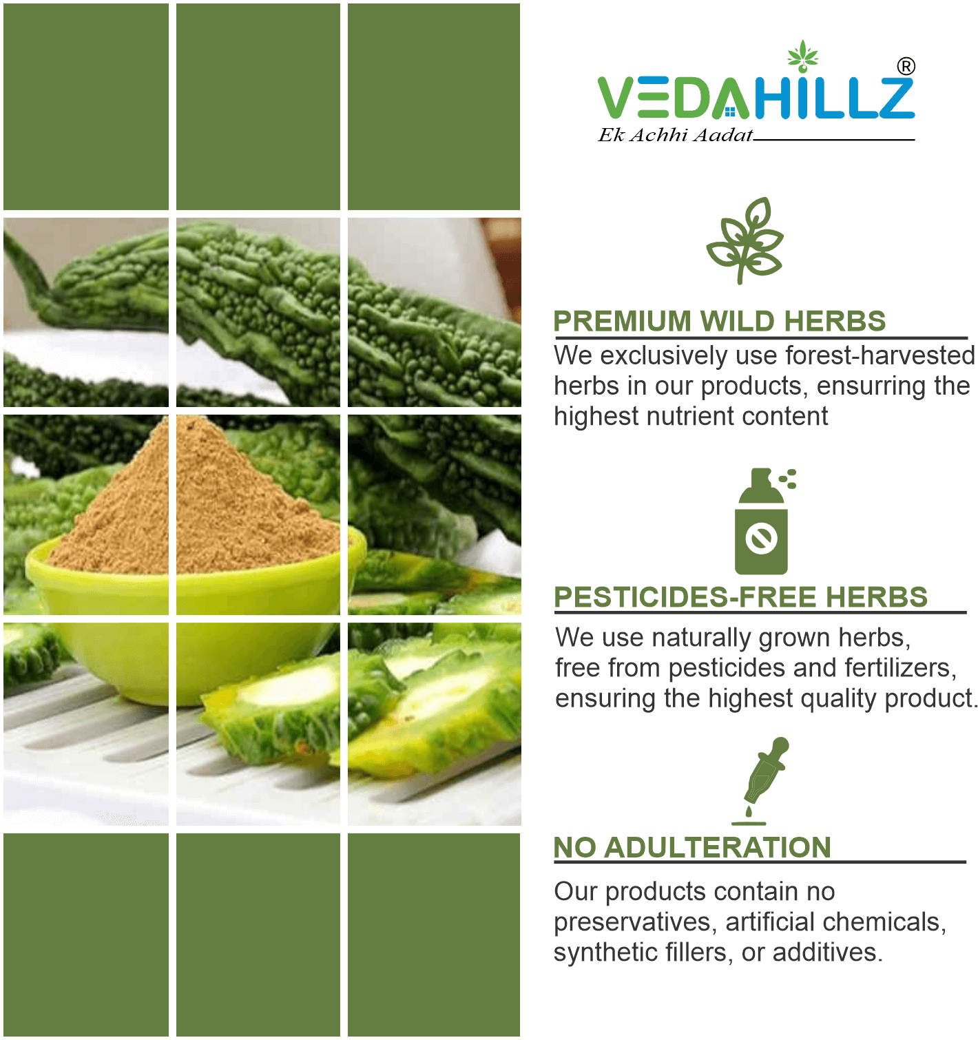 Vedahillz Premium Karela Powder Made from Sun-Dried Natural Karela Fruits